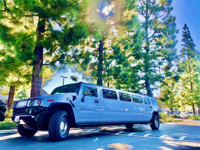 Limousines & Party bus image 10