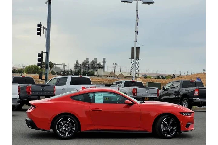 $25000 : Ford Mustang 2024 EcoBoost 2 image 3