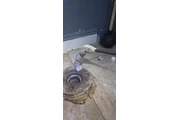 Totalmente  el mejor plomero.