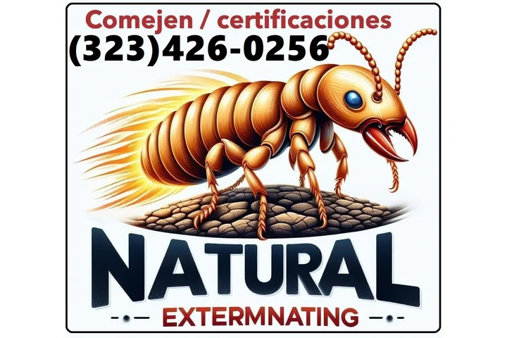 FUMIGACIONES🌟🌟🌟🌟🌟TERMITA image 8