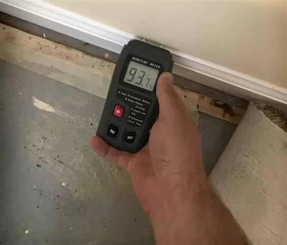 O2 Mold Testing image 2