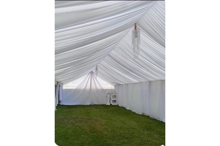 Jasmine's Party Decorations image 3