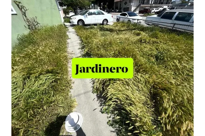 $45Corté de pasto 3232896968 image 6