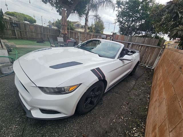 $13000 : Mustang convertible image 2