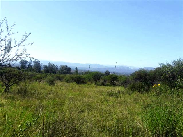 $12500 : Terreno en venta 500m² Tarija image 5