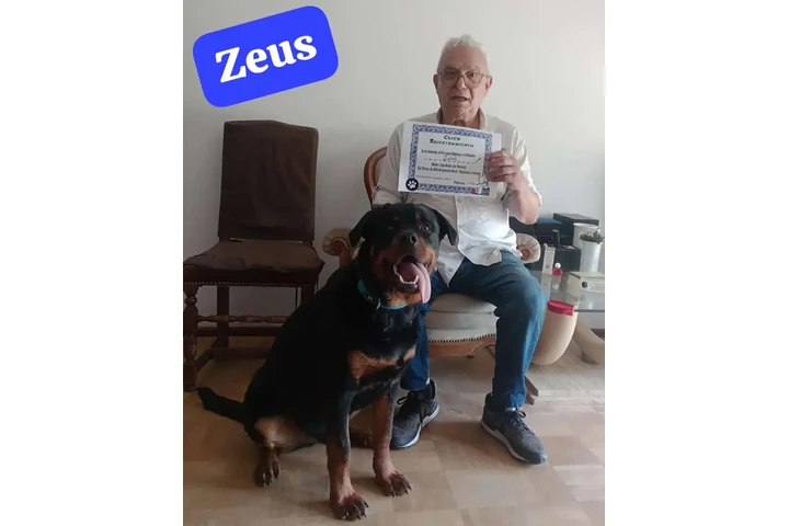 $25000 : Timilines AdiestramientoCanino image 8