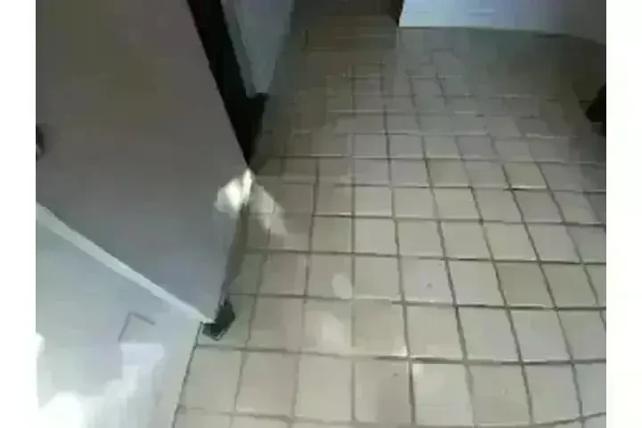 RC LIMPIEZA DE ALFOMBRAS image 1