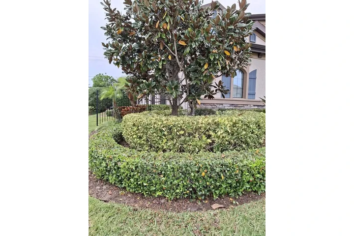 LANDSCAPING AND LANW CARE. image 5