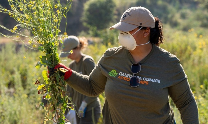 California solicita voluntarios pagados