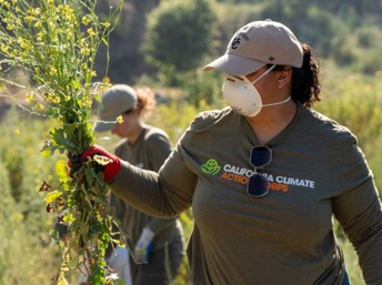 California solicita voluntarios pagados
