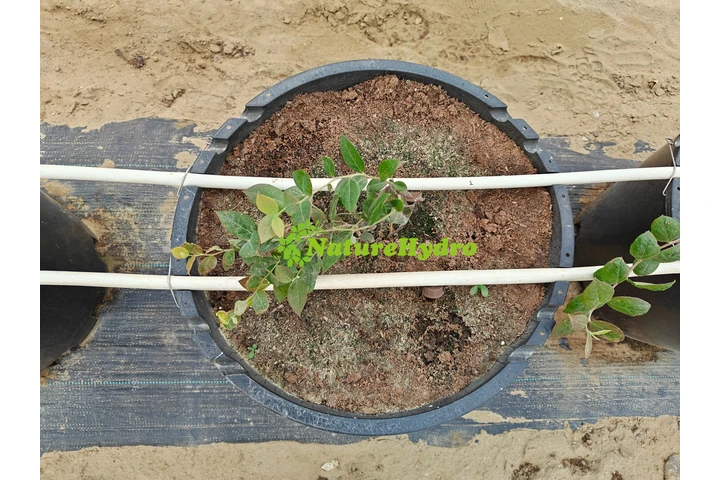 $20000 : Naturehydro Macetas Plásticas image 6