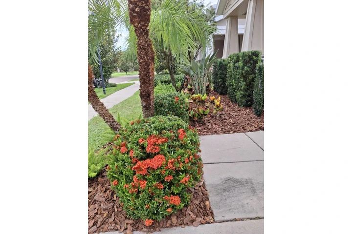 LANDSCAPING AND LANW CARE. image 2
