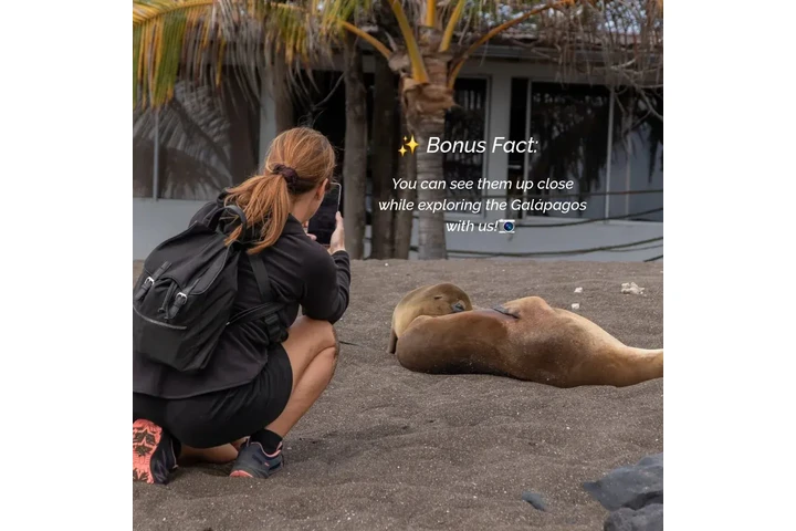 GALÁPAGOS PARA TI 🇪🇨🥰 image 2