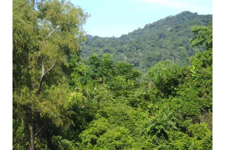 $195000 : OPORTUNIDAD Campo en ARGENTINA image 8