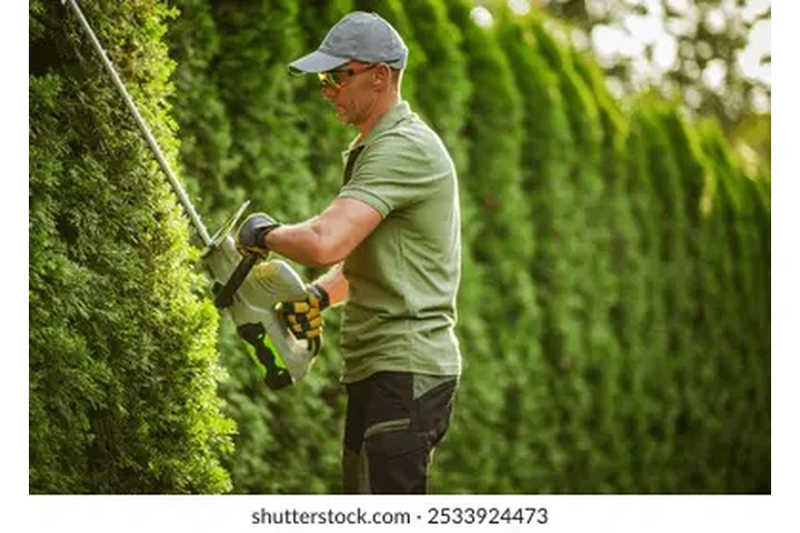 Vacantes personas responsables image 1