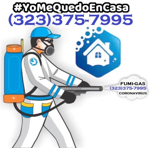 FUMIGADORES PROFESIONALES 24/7 image 10