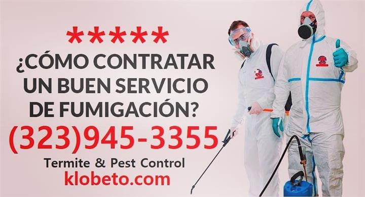 FUMIGACIONES COMERCIALES 24/7 image 2