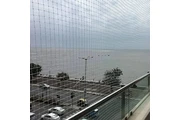 Bird net installation en Indianapolis