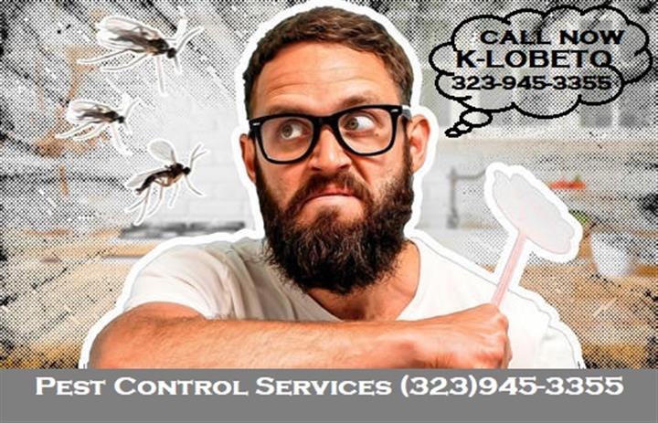 PEST CONTROL SERVICES 24/7 .- image 7