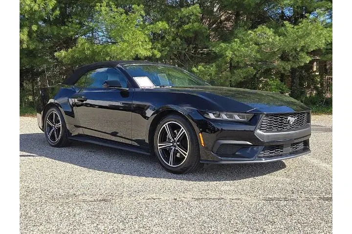 $30888 : Ford Mustang 2024 EcoBoost P image 3