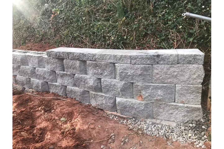 Professional Landscaping image 5