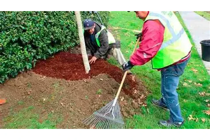 JARDINERÍA Y DEMOLICIÓN image 2