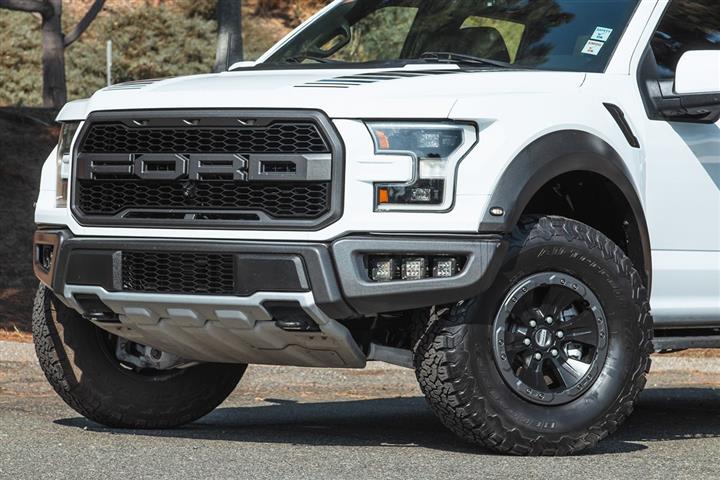 2018 F-150 Raptor image 2