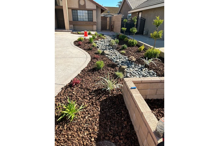 Joe Landscape image 9