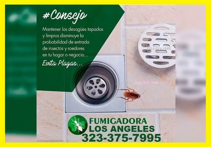 PEST CONTROL - TODO EN PLAGAS image 1