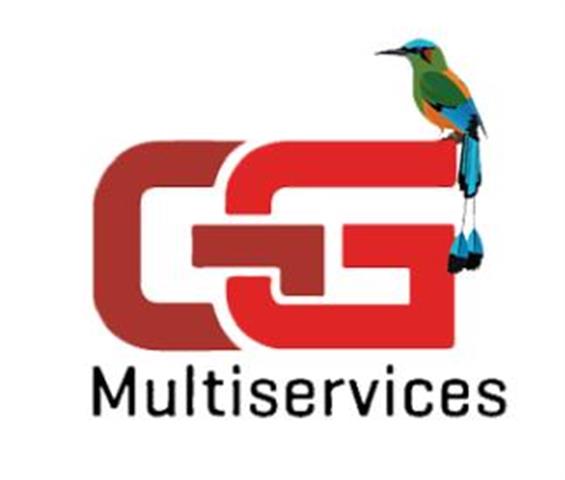 GG Multiservices image 1