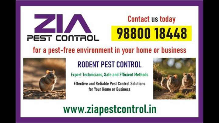 Effective Rodent Pest Control image 1