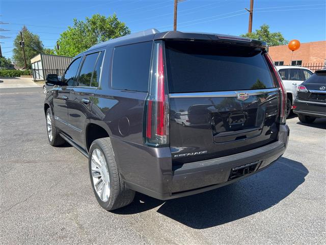 $31888 : 2016 Escalade Platinum, BEAUT image 9