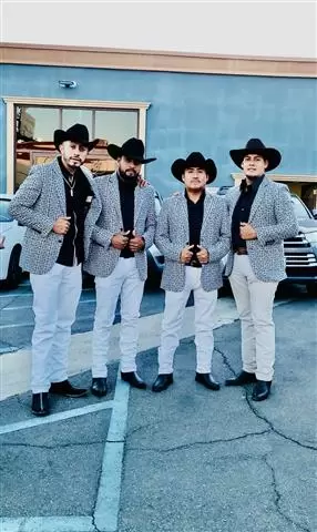 ACENDADO NORTEÑO image 2