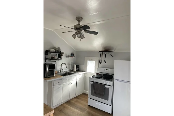 $1100 : Jardín estilo Newport Beach CA image 5