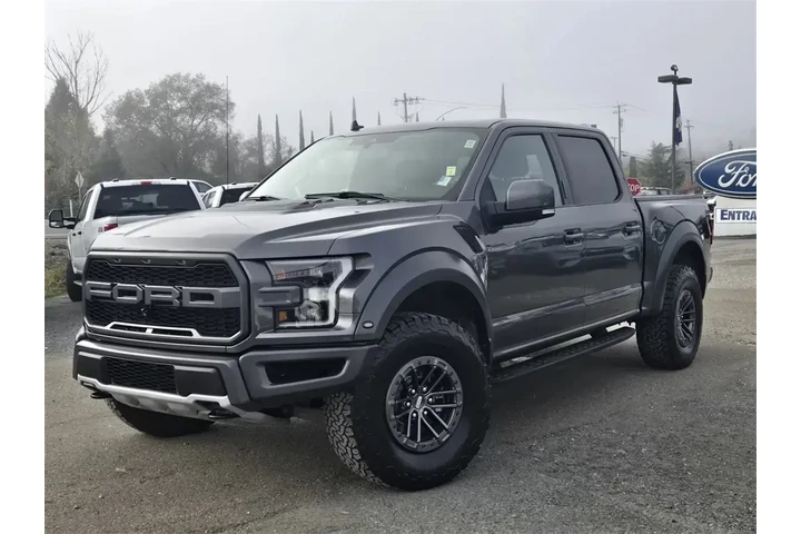 $40000 : Ford F-150 2019 4x4 Raptor 4 image 8
