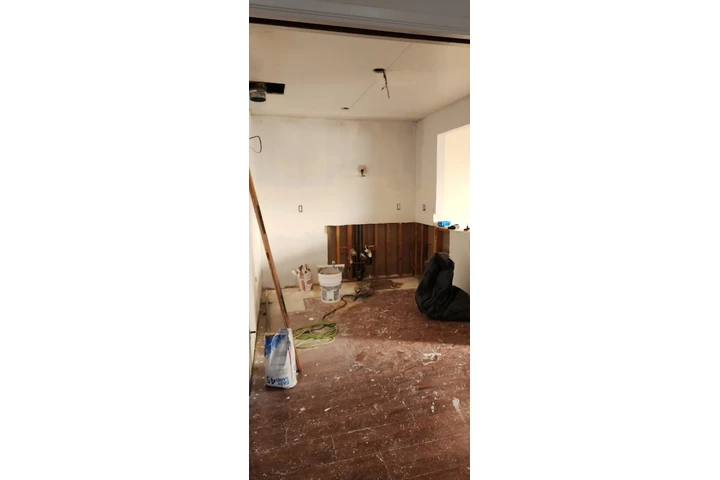 Murillo Construction Painting image 3