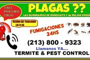 FUMIGACION/CONTROL DE PLAGAS