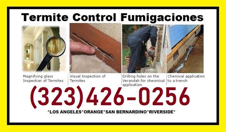 >>FUMIGACIONES TERMITAS<< image 3