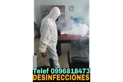 Control de plagas en Quito en Quito