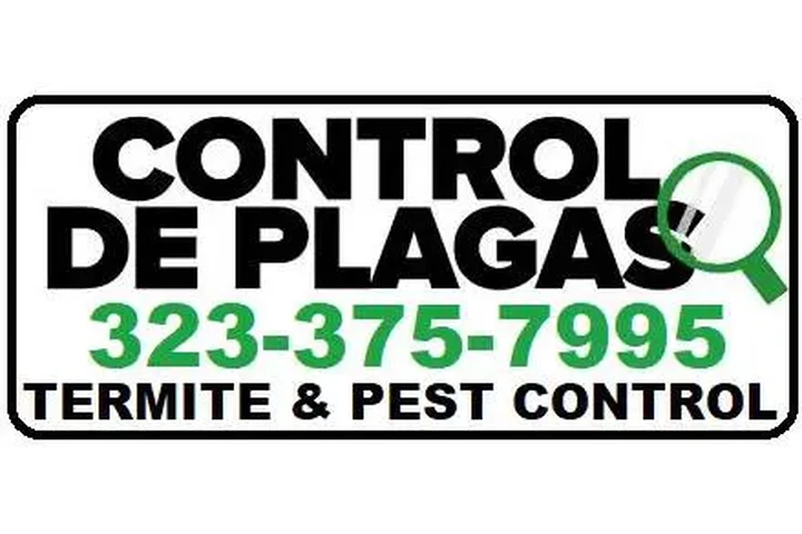 CONTROL PLAGAS LOS ANGELES image 10