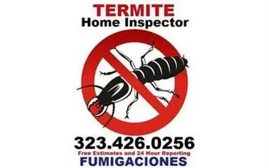 FUMIGADOR TERMITA - PLAGA 24/7 image 3