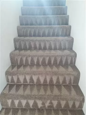 Roberto's carpet cleaning image 5