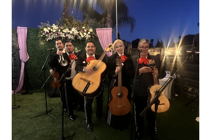 🎺MARIACHI A SUS ÓRDENES🎺 image 2