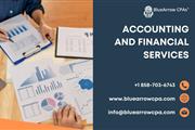 Accounting & financial service