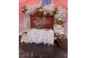 🎉 Diana Borquez Decor🎉 thumbnail