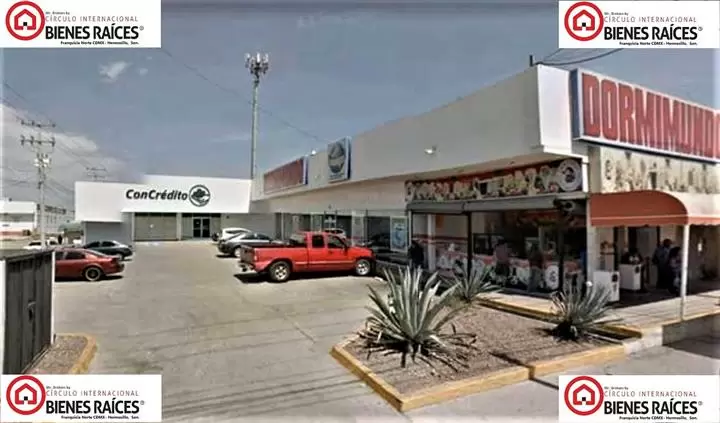 Mr. Brókers Inmobiliarios image 2
