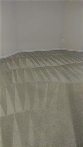 DCC SERVICES (CARPET ClEANING) image 10