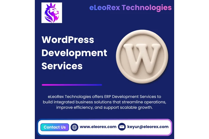 Best WordPress Development image 1