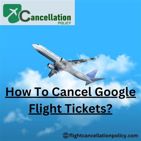 Cancel Google Flight Ticket image 1