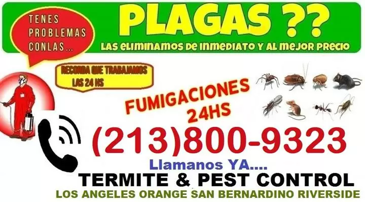 FUMIGADOR  PROFESIONAL PLAGAS image 1